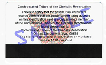 Confederated Tribes of the Chehalis Reservation Tribal Identification Card - Back