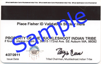 Muckleshoot Indian Tribe Tribal Identification Card - Back