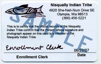 Nisqually Indian Tribe ID Card - Back