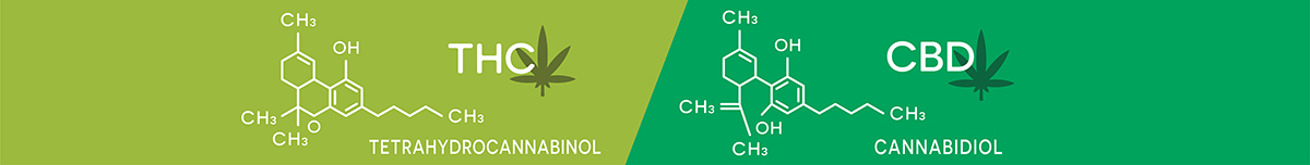 THC-CBD banner