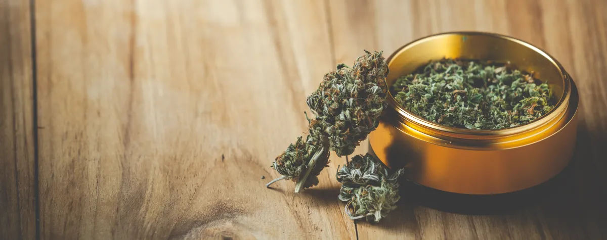 image of cannabis flower buds leaning next to and ground in the bottom of a gold grinder on a wooden background