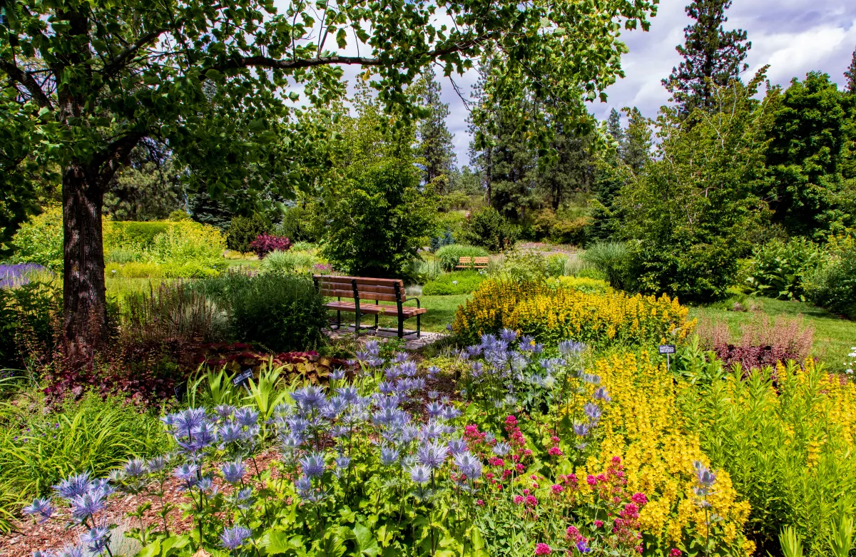 a park bench surrounded by multicolored wildflowers and green trees