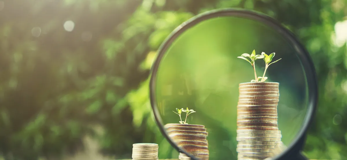 image of three stacks of coins under a magnifying glass, each sprouting a small green seedling getting larger as the coin stacks get higher