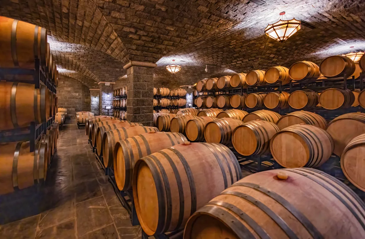 image of a cellar full of wooden barrels