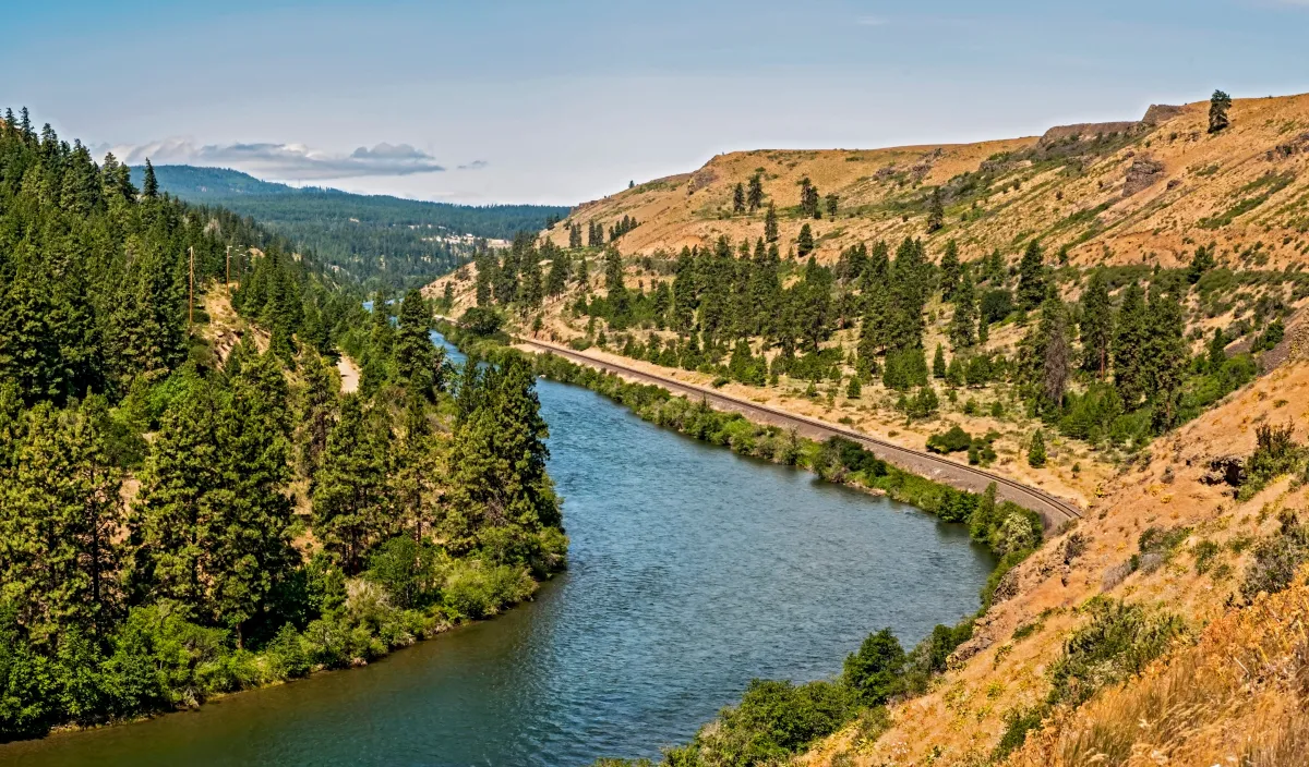 image of the winding Yakima River between two hills, covered in evergreens on the left and brown with a smattering of trees on the right