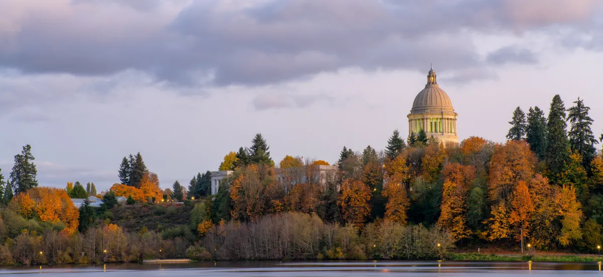 image of the Olympia capitol building poking out over a line of evergreen trees and orange and brown foliage