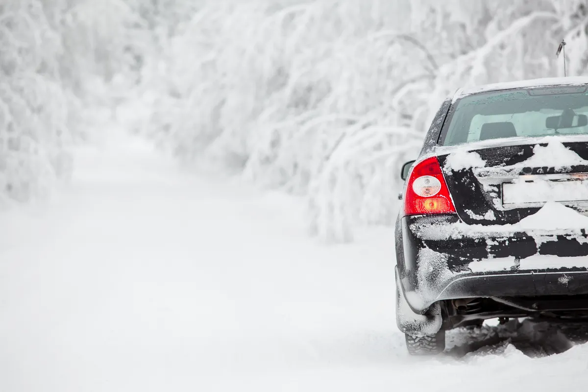 black car on a snowy road with snow-covered trees in the background