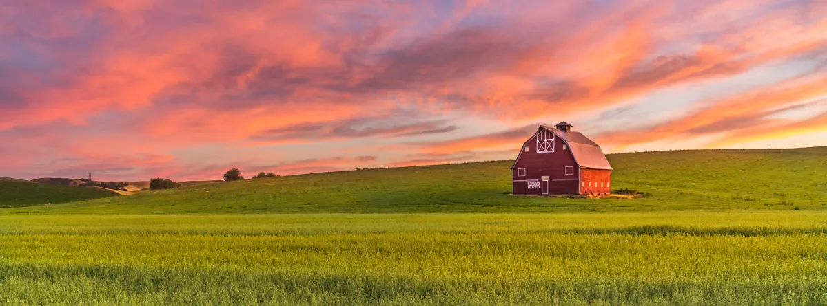 a red barnhouse sitting on a green landscape on a sunset of pink and orange