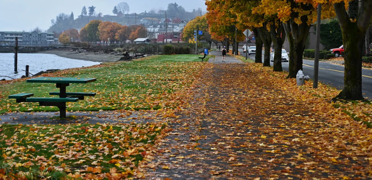 image of a park path on the waterfront with a green park table and bench and a walking path covered in yellow and orange leaves