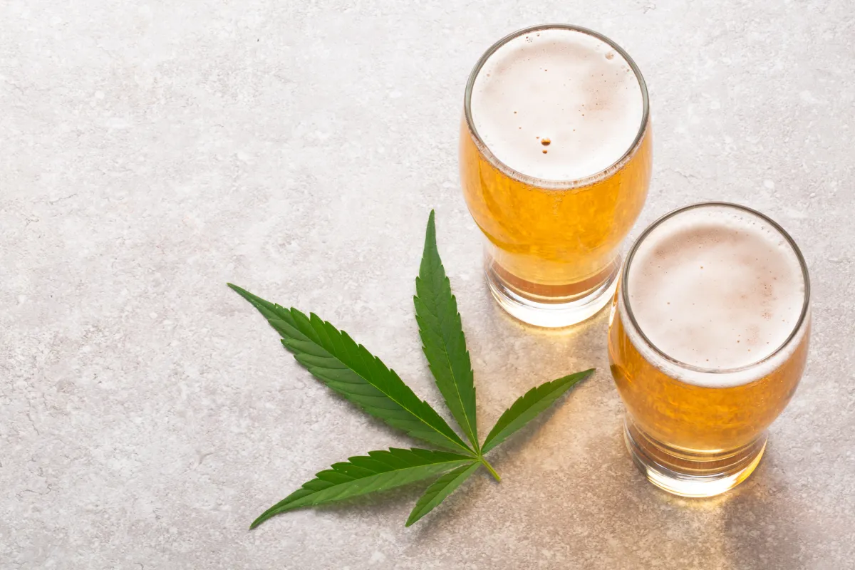 cannabis leaf and two pint glasses of beer