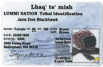 lumi-nation-ID-card-front