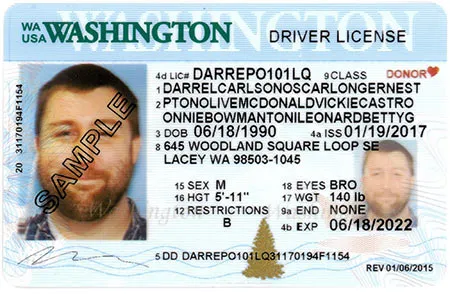 sample of a Washington State driver's license